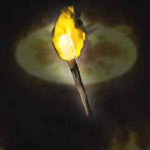 Diablo 2 Hellfire Torch Boost