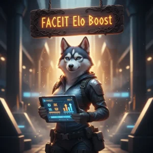Faceit Elo Boost for CS2 on Huskyboost