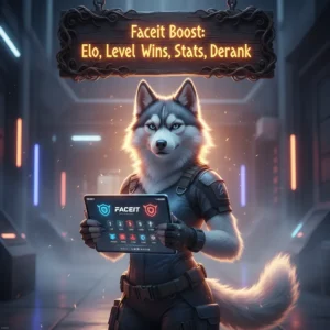 Counter Strike 2 FACEIT Boosting Service