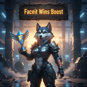 Counter Strike 2 FACEIT Wins Boost by Huskyboost