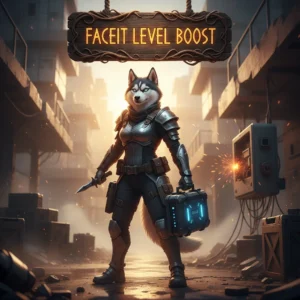 Faceit Level Boost: Get to the level you deserve!