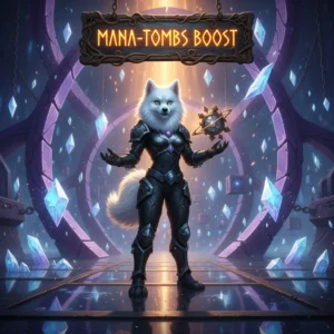 WoW TBC Fresh Mana Tombs Dungeon Boost